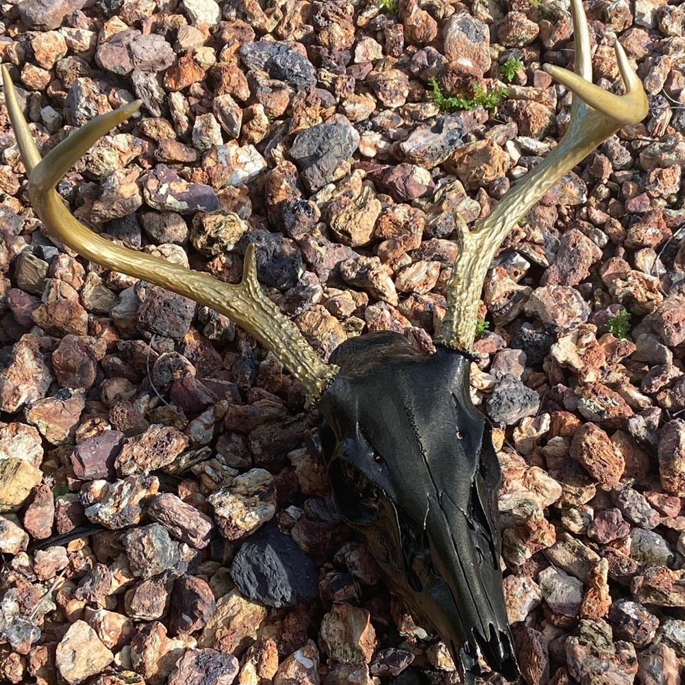 Hydro Dipped Painted Deer Skull
